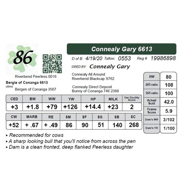 Connealy Gary 6613