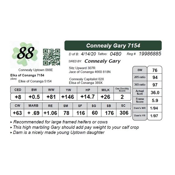 Connealy Gary 7154