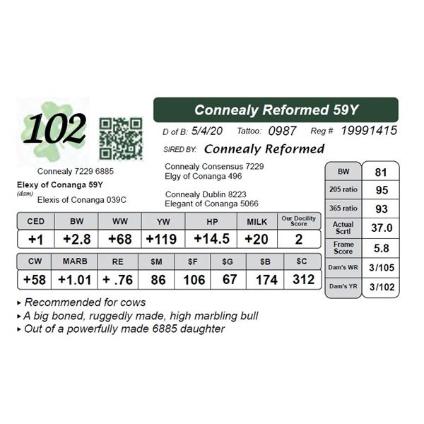 Connealy Reformed 59Y