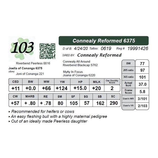 Connealy Reformed 6375