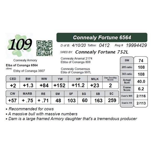 Connealy Fortune 6564