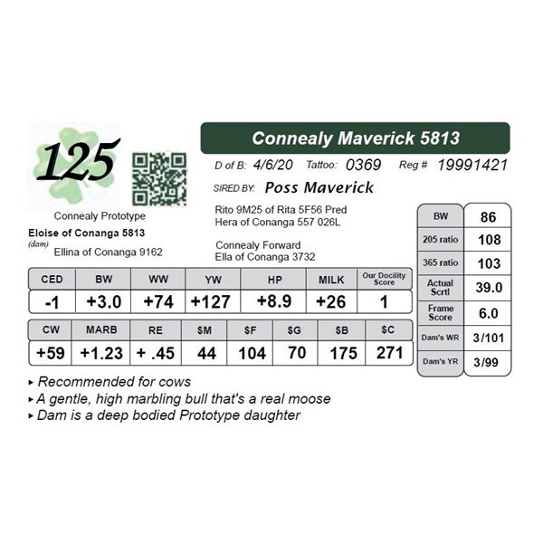 Connealy Maverick 5813