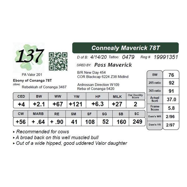 Connealy Maverick 78T