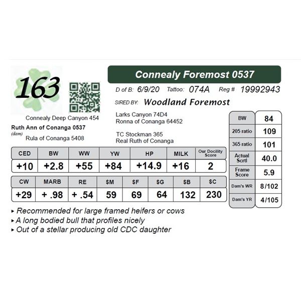Connealy Foremost 0537