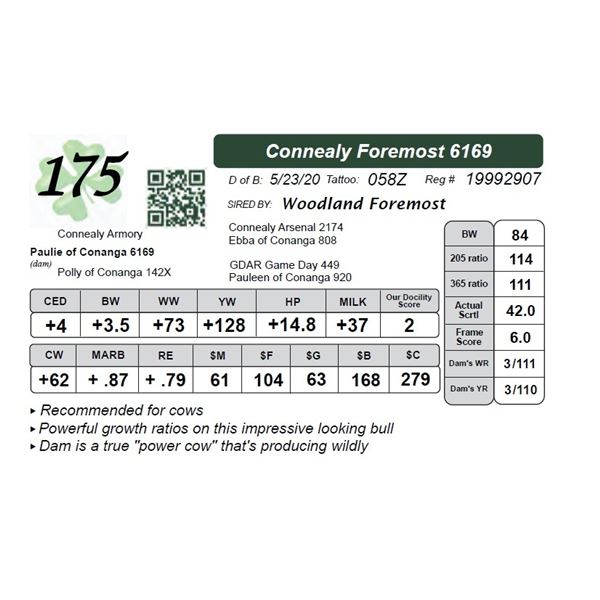 Connealy Foremost 6169