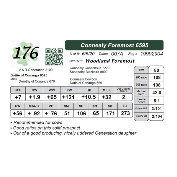 Connealy Foremost 6595