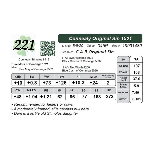 Connealy Original Sin 1521