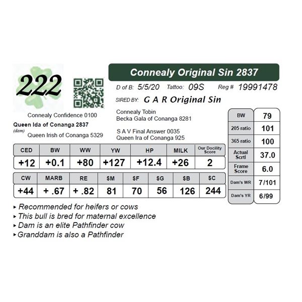 Connealy Original Sin 2837