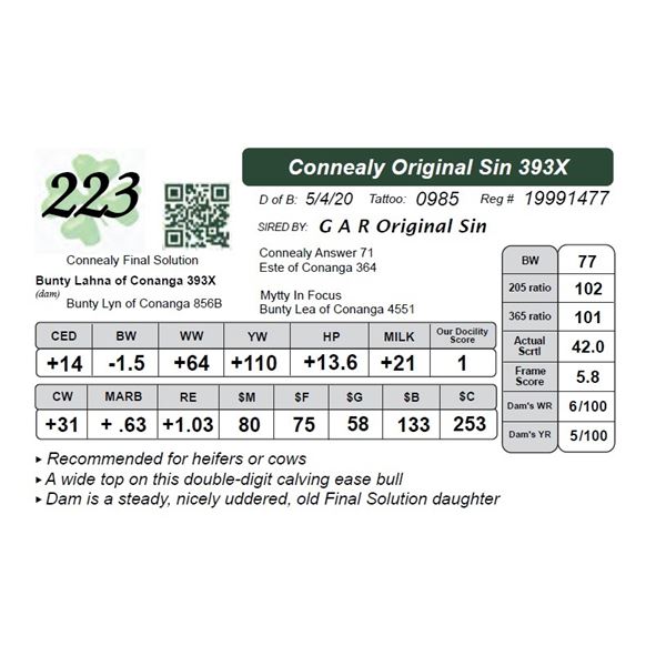 Connealy Original Sin 393X