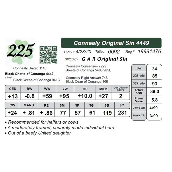 Connealy Original Sin 4449
