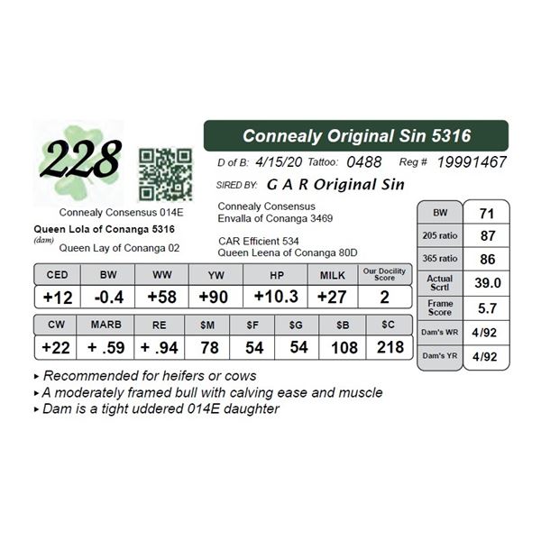 Connealy Original Sin 5316
