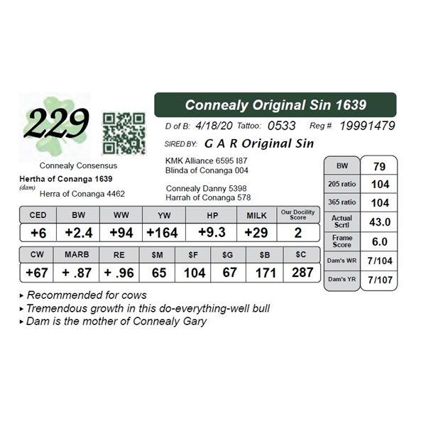 Connealy Original Sin 1639