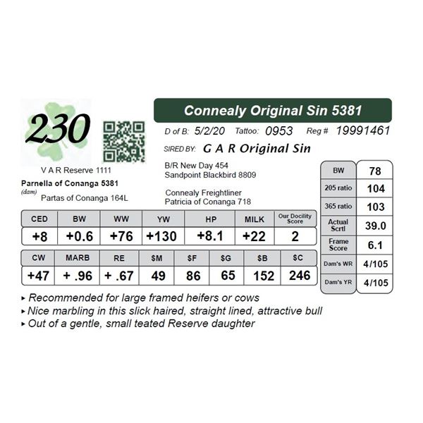 Connealy Original Sin 5381
