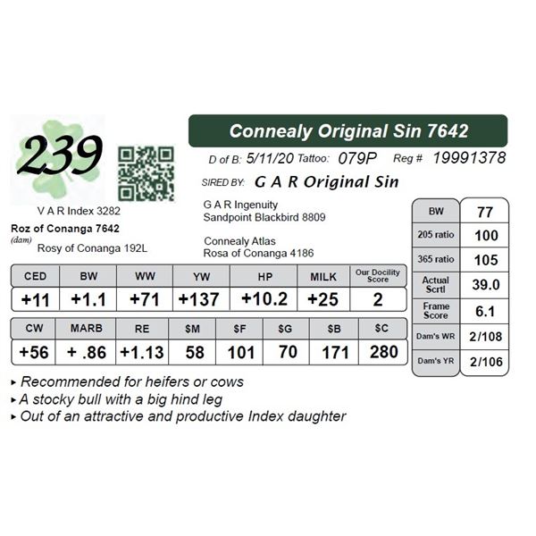 Connealy Original Sin 7642