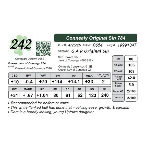 Connealy Original Sin 784