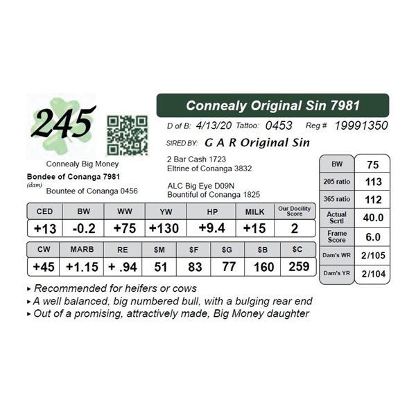 Connealy Original Sin 7981