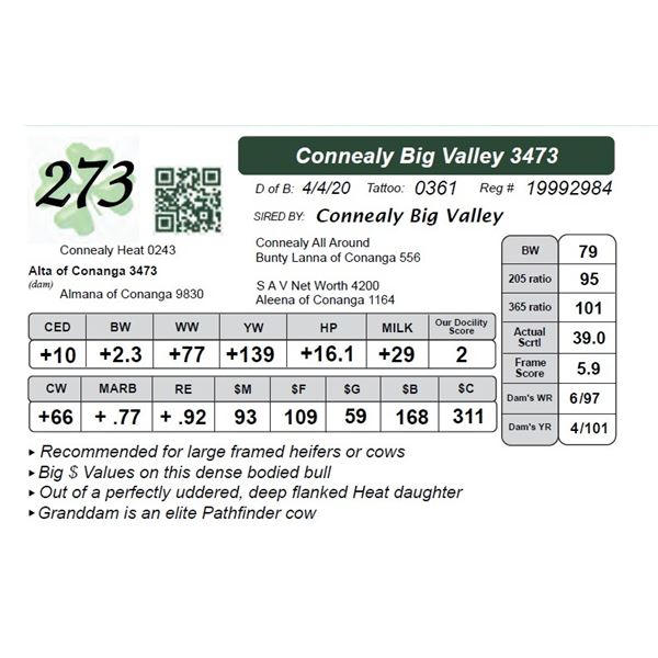 Connealy Big Valley 3473