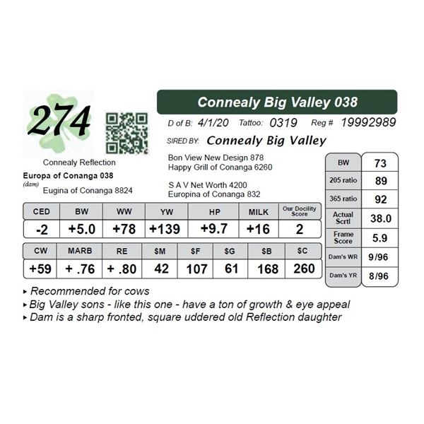Connealy Big Valley 038