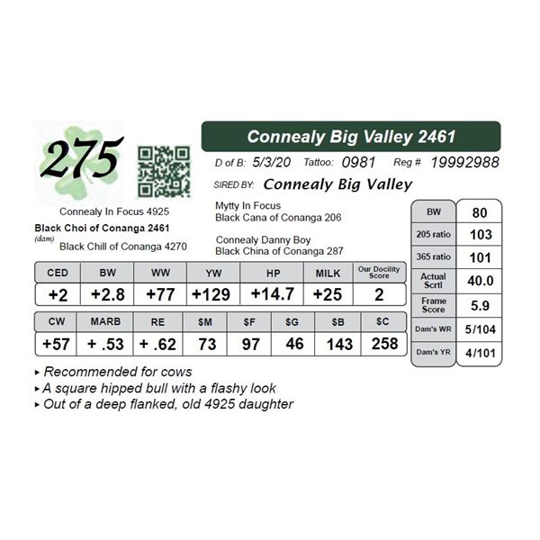 Connealy Big Valley 2461