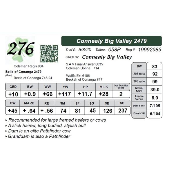 Connealy Big Valley 2479