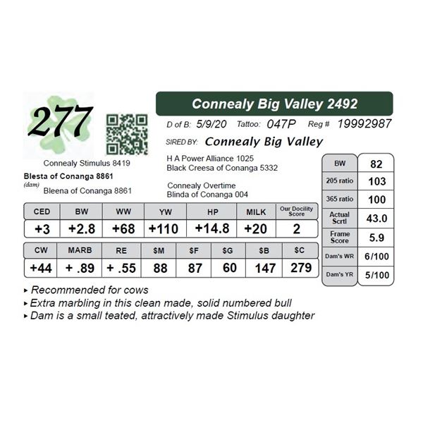 Connealy Big Valley 2492