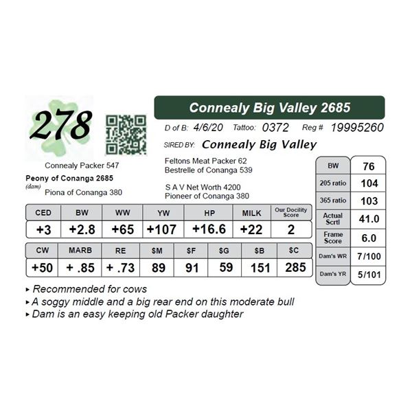 Connealy Big Valley 2685