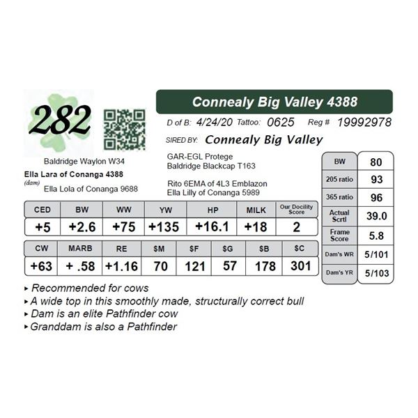 Connealy Big Valley 4388