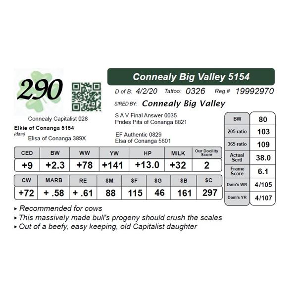 Connealy Big Valley 5154