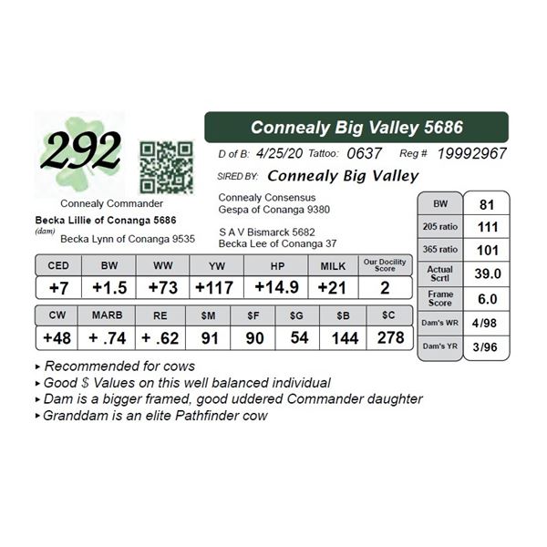 Connealy Big Valley 5686