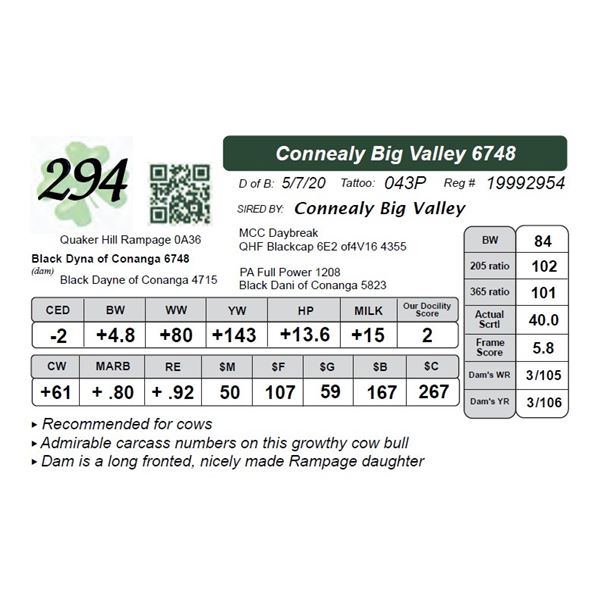 Connealy Big Valley 6748