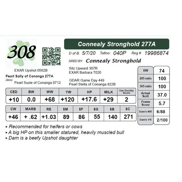 Connealy Stronghold 277A