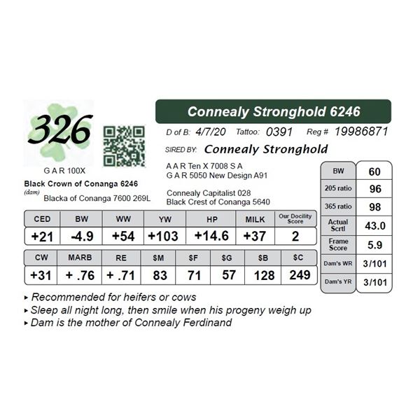 Connealy Stronghold 6246