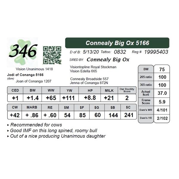 Connealy Big Ox 5166