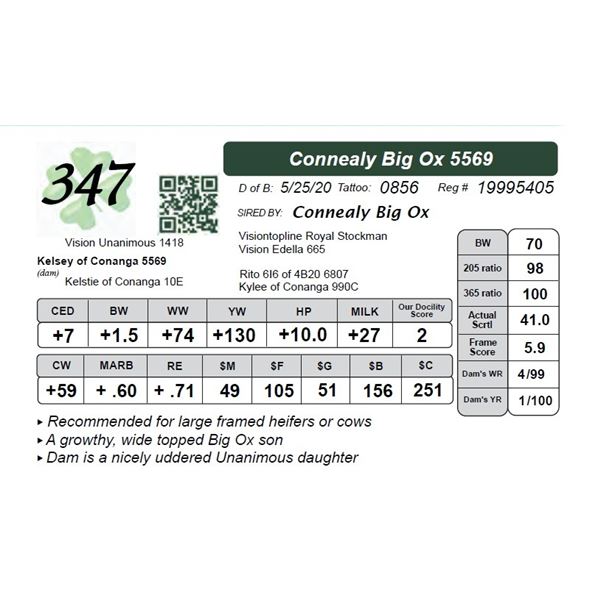 Connealy Big Ox 5569