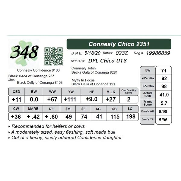 Connealy Chico 2351