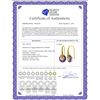 Image 2 : Genuine 11.50 ctw Amethyst Earrings 14KT Yellow Gold - REF-74K6V