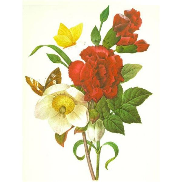 After Pierre-Jospeh Redoute, Floral Print, #35 Clove, Carnation, Christmas Rose