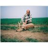 Image 1 : Serbia – Hunt in Europe is offering a Roe deer in Serbia with 4 hunting days for one hunter and one 
