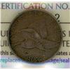 Image 2 : United States One Cent 1857 - Flying Eagle