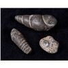 Image 2 : Nice Trio of Prehistoric Snail Fossils
