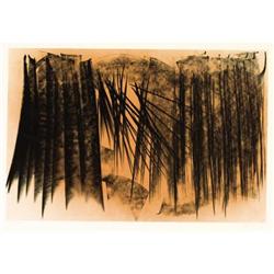 Hans Hartung, Color lithograph