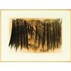 Image 4 : Hans Hartung, Color lithograph