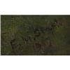 Image 3 : E.M. Stack, Oil on cardboard