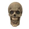 Image 1 : Hell Fest Light Up Wall Skull Movie Props