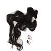 Image 1 : Crouching Tiger Hidden Dragon: Sword of Destiny Silver Dart Shi (Juju Chan) Wig Movie Props