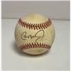 Image 1 : Cal Ripken Jr Signed Baseball