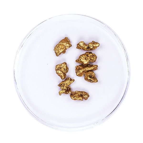 Lot of Gold Nuggets 3.20 grams Total Weight