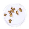 Image 2 : Lot of Gold Nuggets 3.20 grams Total Weight