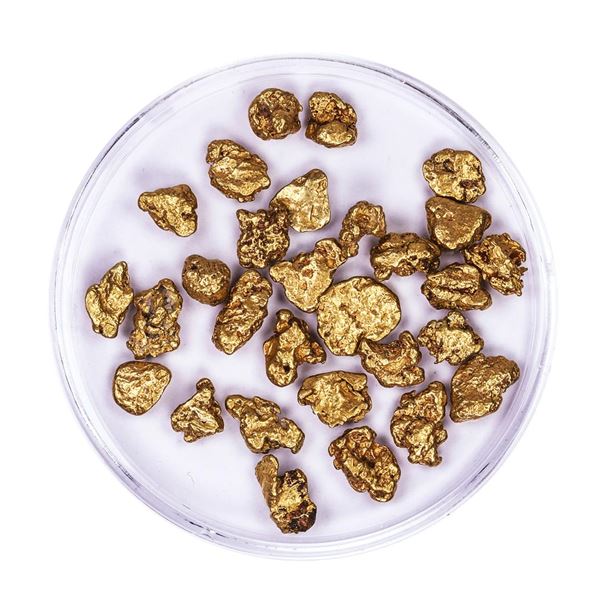 Lot of Gold Nuggets 10.14 grams Total Weight