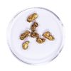 Image 1 : Lot of Gold Nuggets 3.26 grams Total Weight